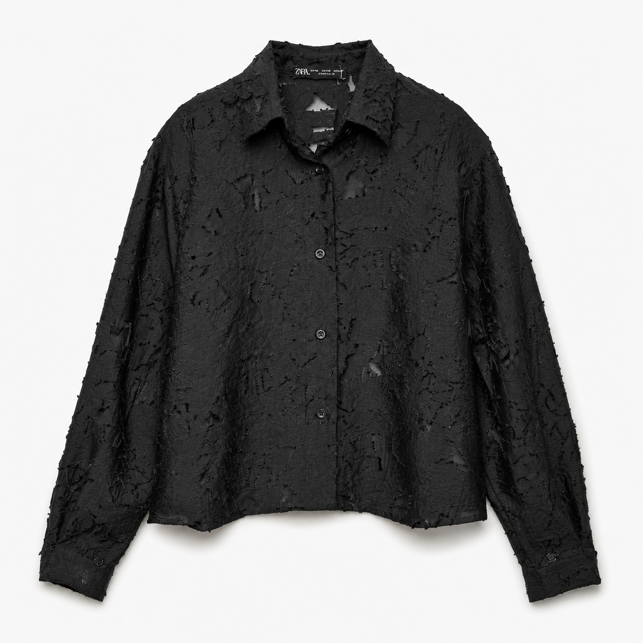 Black Shirt 11478